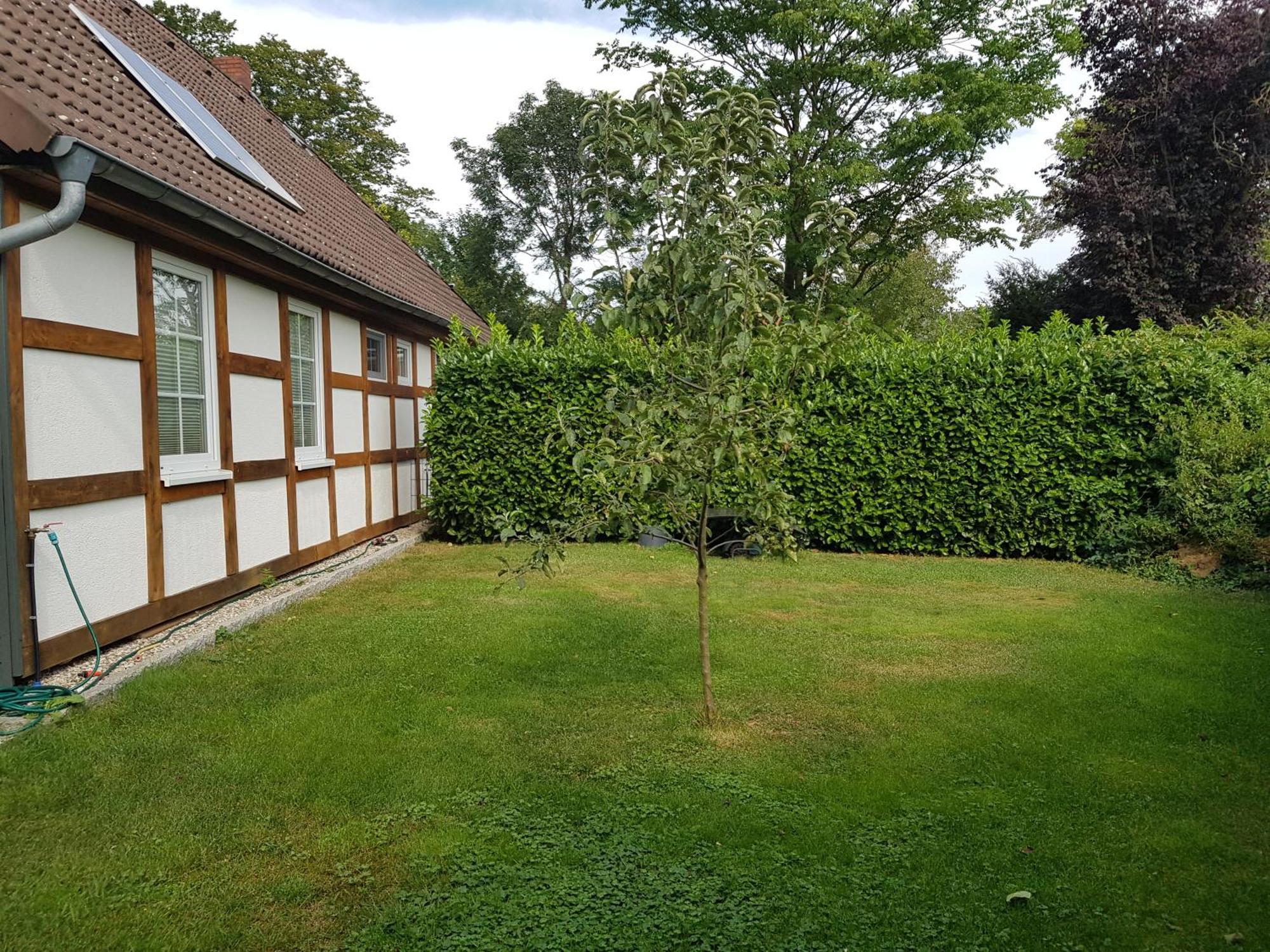 Ferienwohnung Suedheide Beedenbostel Exterior foto